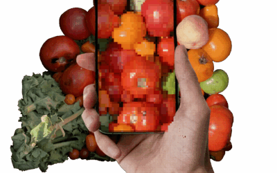 Digital Diets